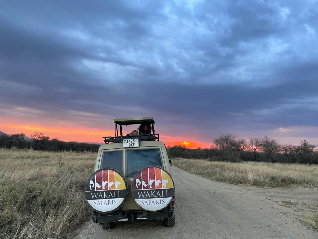Wildebeest migration across the Serengeti plains